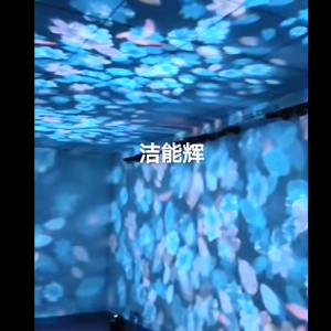 3D動態(tài)魅影重重落花投影