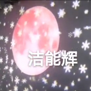 客戶任意定制小片雪花投影