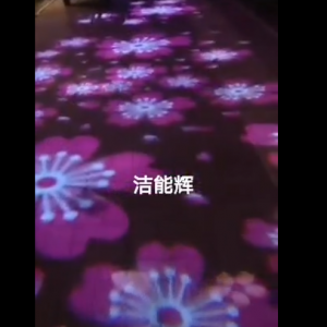 河南櫻花大道投影