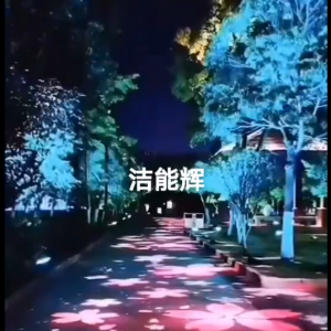 3D動(dòng)感落花投影